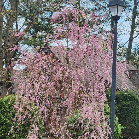 Meet your Posher, - Picture 1 of 1